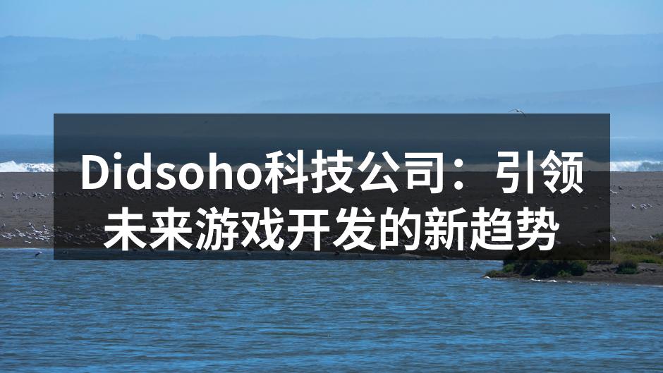 Didsoho科技公司:引领未来游戏开发的新趋势