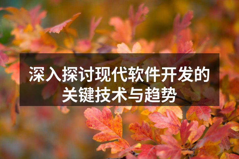 深入探讨现代软件开发的关键技术与趋势